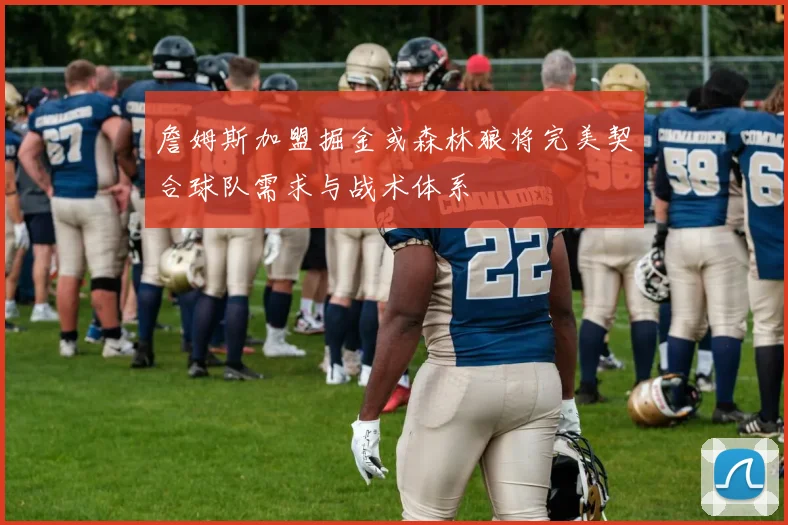 詹姆斯加盟掘金或森林狼将完美契合球队需求与战术体系