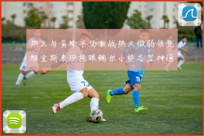 热火与黄蜂半场激战热火微弱领先维金斯表现抢眼鲍尔小桥各显神通